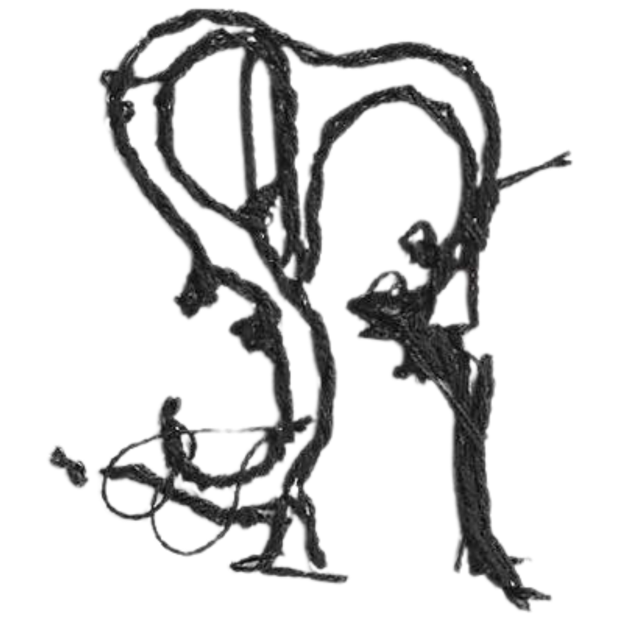 Sloan Rose monogram hand embroidered in black thread