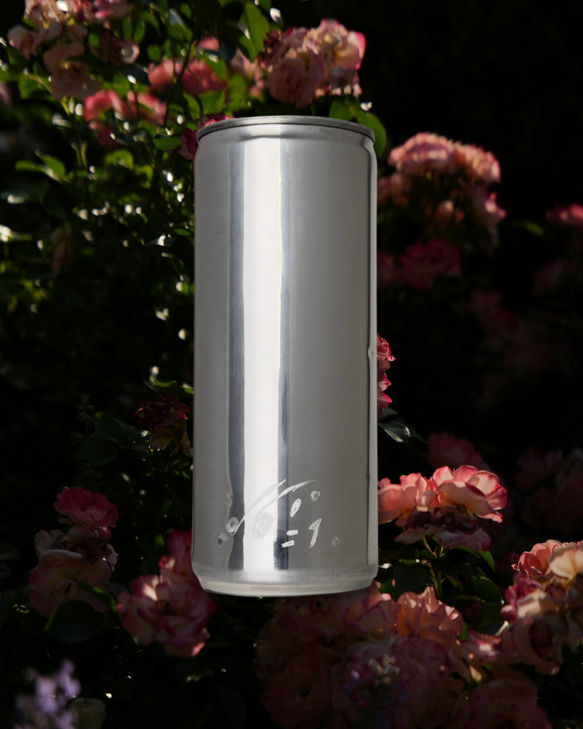 Sloan Rose N°1 Fig & Roses candle in a reclaimed aluminum vessel, standing among pink roses in low evening light.