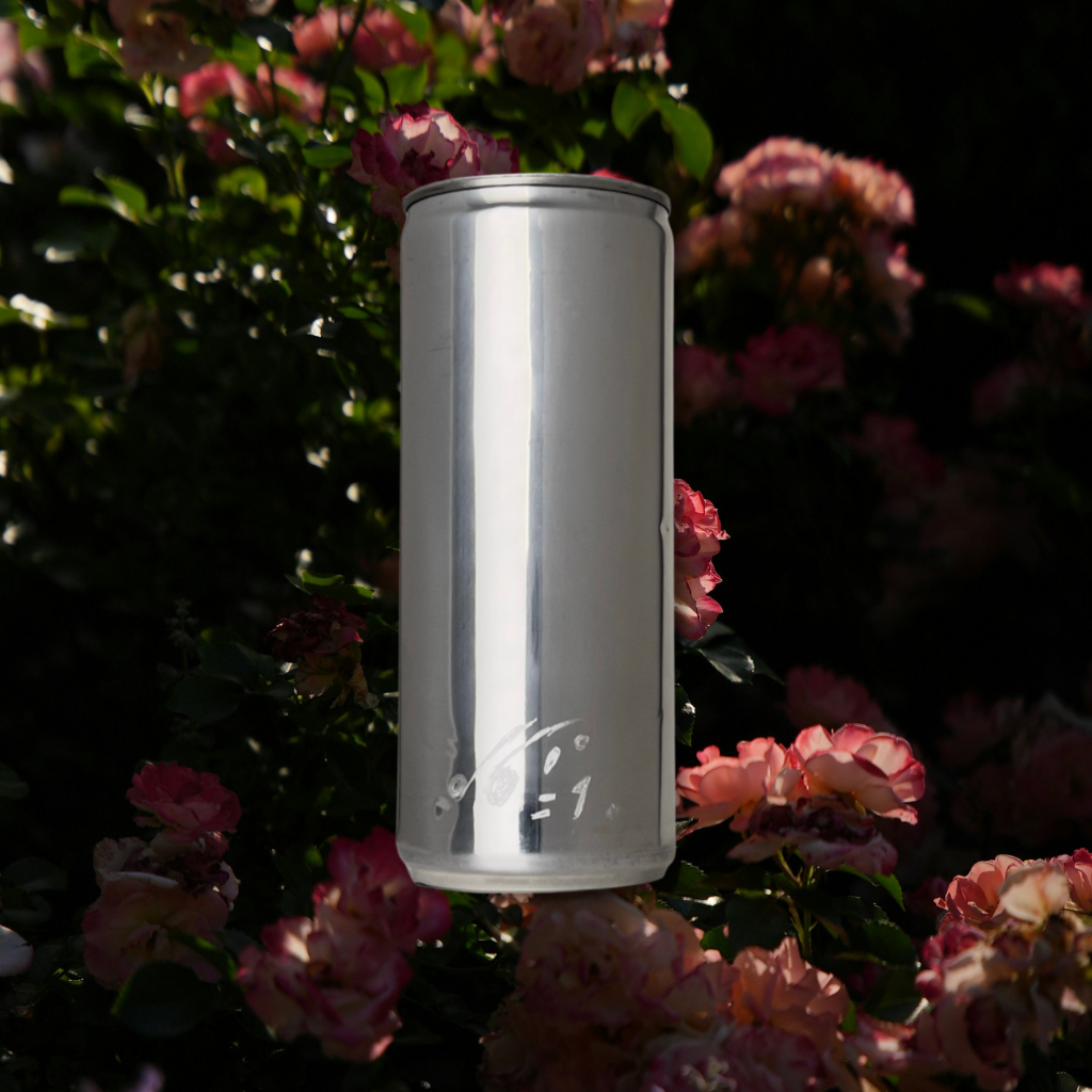 Sloan Rose N°1 Fig & Roses candle in a reclaimed aluminum vessel, standing among pink roses in low evening light.